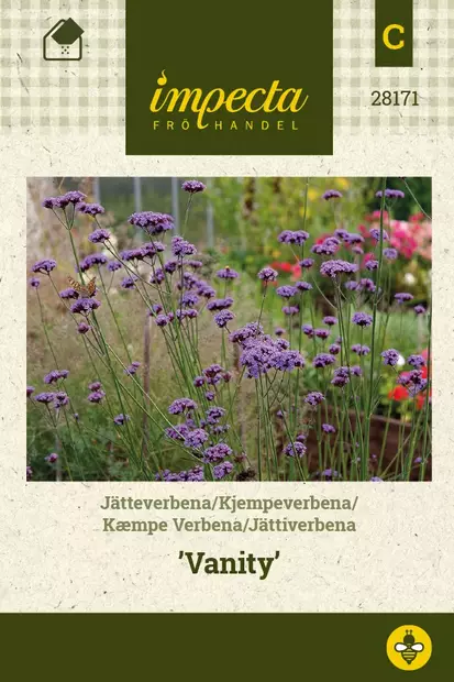 JÄTTIVERBENA VANITY - Muut kesäkukkien siemenet - 7332756281710 - 1