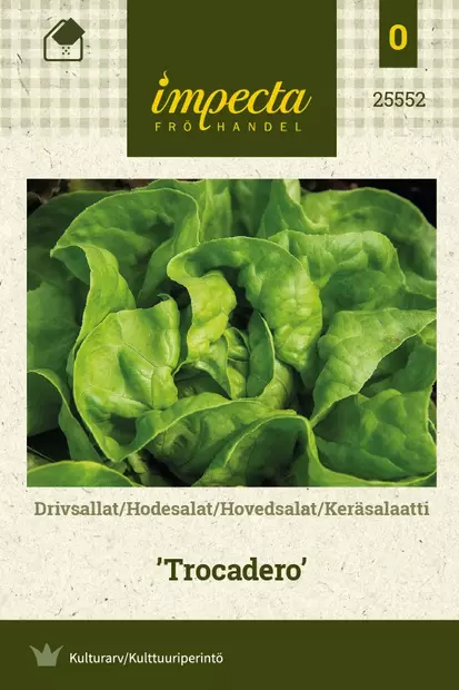 KERÄSALAATTI TROCADERO - Salaatin siemenet - 7332756255520 - 1