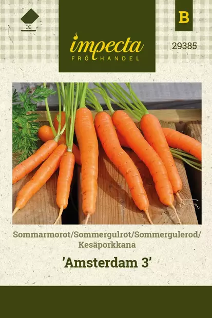 KESÄPORKKANA AMSTERDAM 3 - Porkkanan siemenet - 7332756293850 - 1