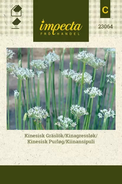 KIINANSIPULI - Muut vihannesten siemenet - 7332756230640 - 1