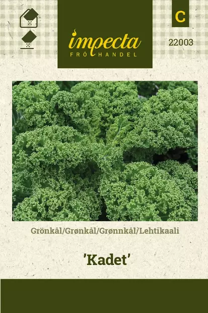 LEHTIKAALI KADET - Kaalin siemenet - 7332756220030 - 1