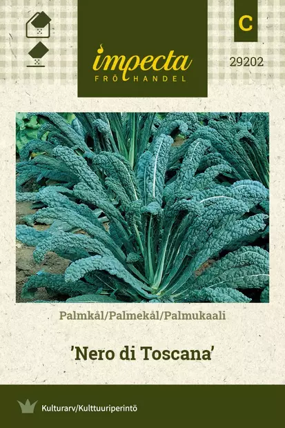 PALMUKAALI NERO DI TOSCANA - Kaalin siemenet - 7332756292020 - 1