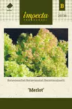 BATAVIASALAATTI MERLOT - Salaatin siemenet - 7332756297360 - 1