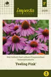 KAUNOPUNAHATTU FEELING PINK - Perennojen siemenet - 7332756252550 - 1