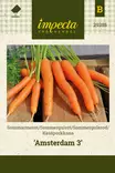 KESÄPORKKANA AMSTERDAM 3 - Porkkanan siemenet - 7332756293850 - 1