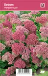 KOMEAMAKSARUOHO HERBSTFREUDE - Maksaruohot - 2034859700000 - 1
