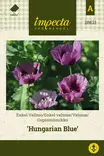 OOPIUMIUNIKKO HUNGARIAN BLUE - Muut kesäkukkien siemenet - 7332756286210 - 1