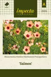 PUNAPELLAVA SALMON - Muut kesäkukkien siemenet - 7332756250310 - 1