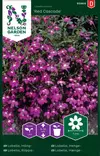 RIIPPALOBELIA RED CASCADE - Muut kesäkukkien siemenet - 7312600939660 - 2
