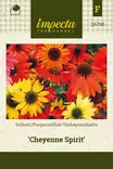 TARHAPUNAHATTU CHEYENNE SPIRIT - Perennojen siemenet - 7332756267950 - 1