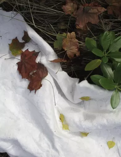 PAKKASHUOPA 4 M2 - Kankaat, harsot ja verkot - 6430068432910 - 1