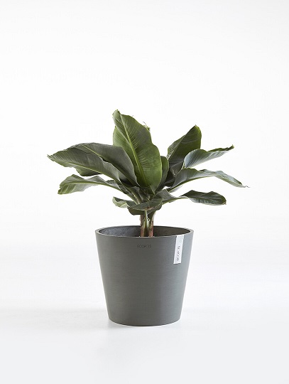 AMSTERDAM RUUKKU HARMAA 40 CM - Muoviruukut - 5411942740940 - 1