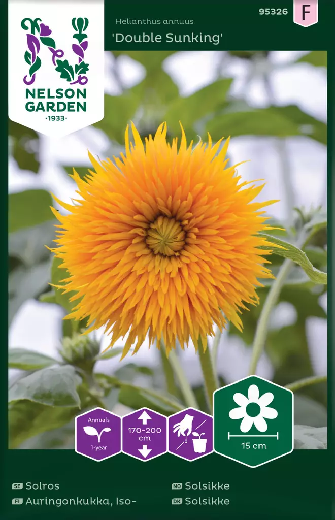 AURINGONKUKKA DOUBLE SUNKING - Auringonkukan siemenet - 7312600953260 - 2