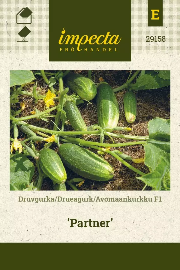 AVOMAANKURKKU PARTNER - Kurkun siemenet - 7332756291580 - 1