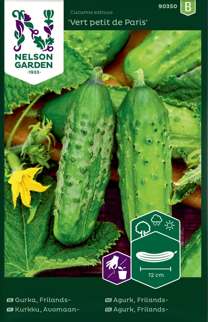 AVOMAANKURKKU VERT PETIT DE PARIS - Kurkun siemenet - 7312600903500 - 1