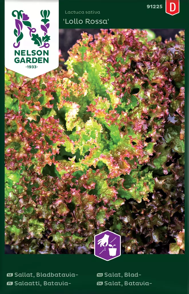 BATAVIASALAATTI LOLLO ROSSA - Salaatin siemenet - 7312600912250 - 2