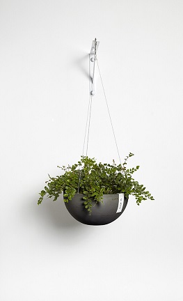 BRYSSELI AMPPELI TUMMANHARMAA 27 CM - Amppelit - 5413724307150 - 1