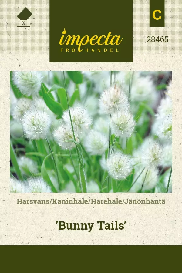 JÄNÖNHÄNTÄ BUNNY TAILS - Muut kesäkukkien siemenet - 7332756284650 - 1