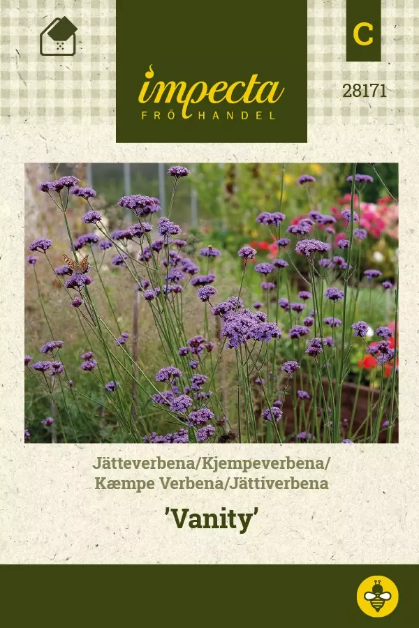 JÄTTIVERBENA VANITY - Muut kesäkukkien siemenet - 7332756281710 - 1