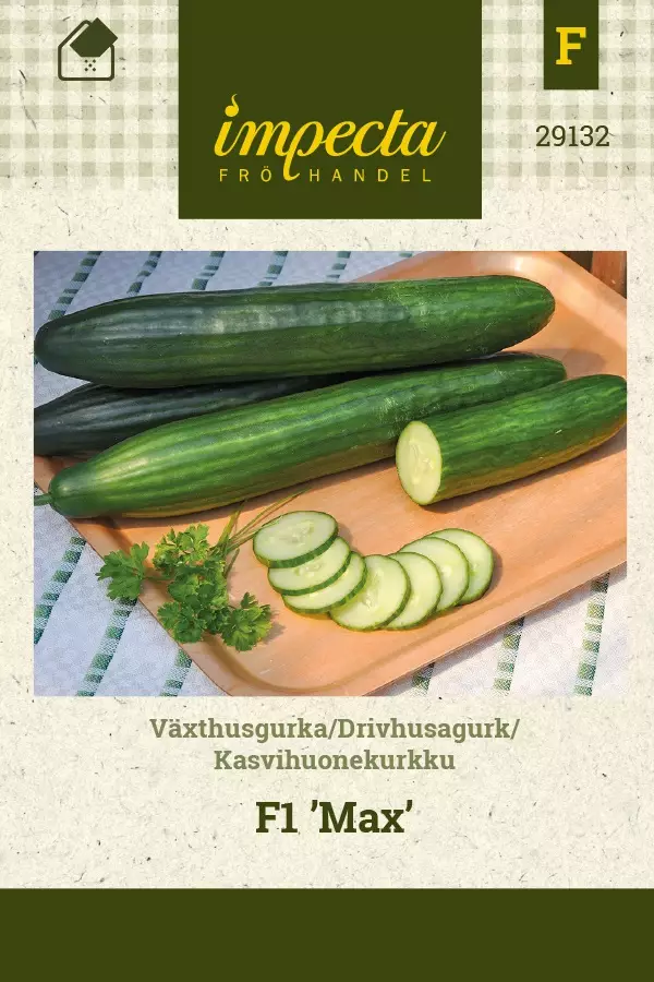 KASVIHUONEKURKKU MAX - Kurkun siemenet - 7332756291320 - 1