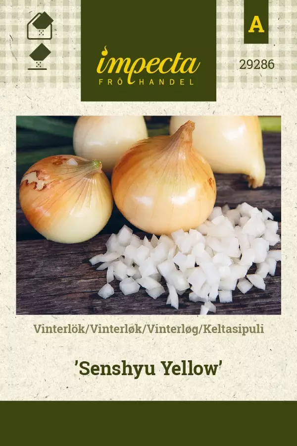 KELTASIPULI SENSHYU YELLOW - Muut vihannesten siemenet - 7332756292860 - 1