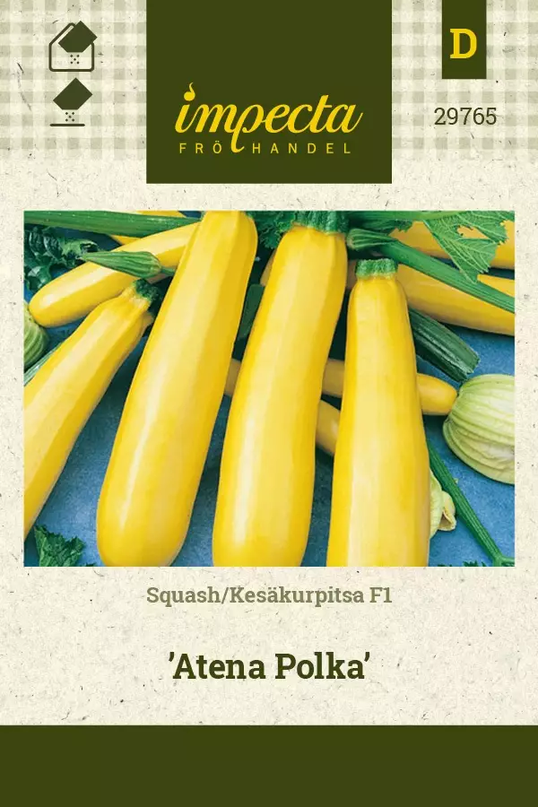KESÄKURPITSA ATENA POLKA - Kurpitsan siemenet - 7332756297650 - 1