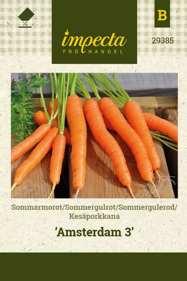 KESÄPORKKANA AMSTERDAM 3 - Porkkanan siemenet - 7332756293850 - 1