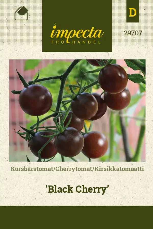 KIRSIKKATOMAATTI BLACK CHERRY - Tomaatin siemenet - 7332756297070 - 1