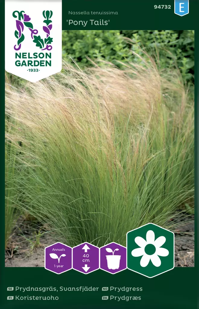 KORISTERUOHO HENTOHÖYHENHEINÄ PONY TAILS - Muut kesäkukkien siemenet - 7312600947320 - 2