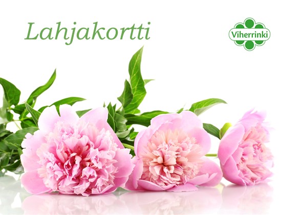 LAHJAKORTTI 100 EUROA - Lahjakortit myymälään - 2029210800000 - 1