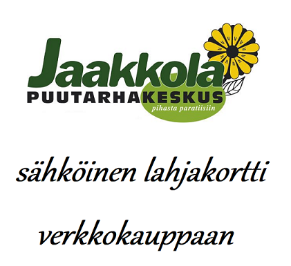 Lahjakortti 200e - Lahjakortit verkkokauppaan - 99999984-200 - 1