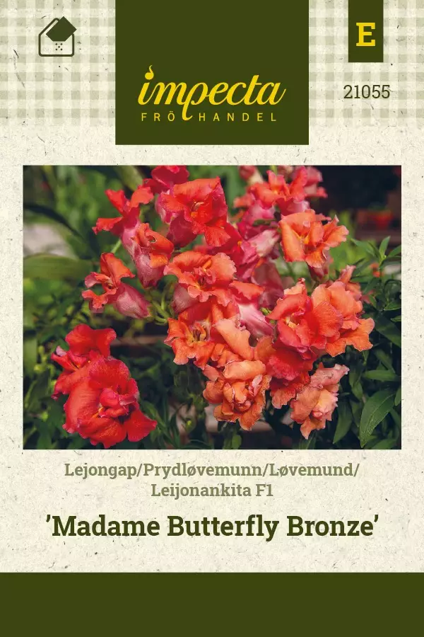 LEIJONANKITA MADAME BUTTERFLY BRONZE - Muut kesäkukkien siemenet - 7332756210550 - 1