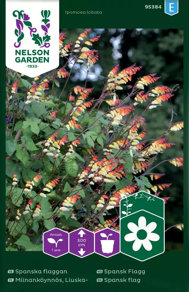 LIUSKAMIINANKÖYNNÖS - Muut kesäkukkien siemenet - 7312600953840 - 2