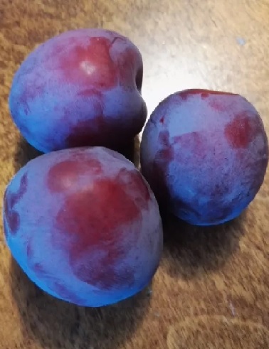 LUUMUPUU GARMONIJA - Luumupuut - 2089422700000 - 1