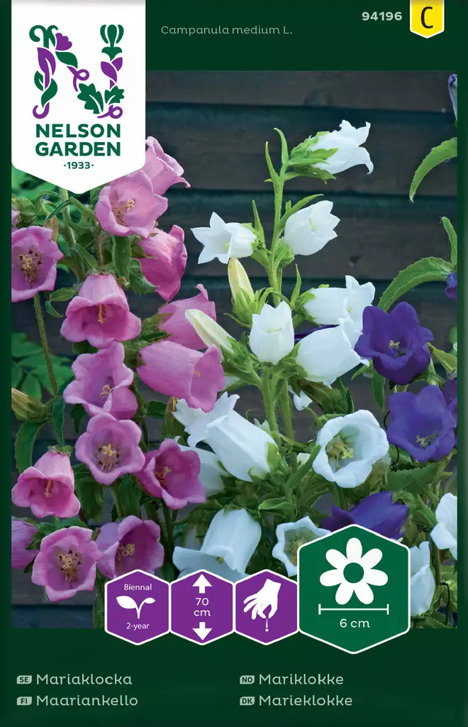 MAARIANKELLO, SEOS - Perennojen siemenet - 7312600941960 - 2