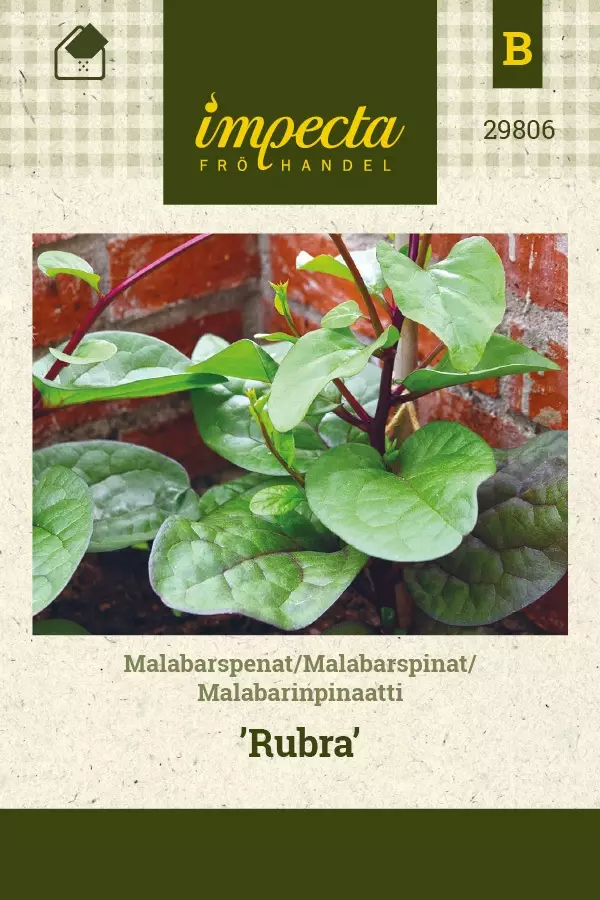 MALABARINPINAATTI RUBRA - Muut vihannesten siemenet - 7332756298060 - 1
