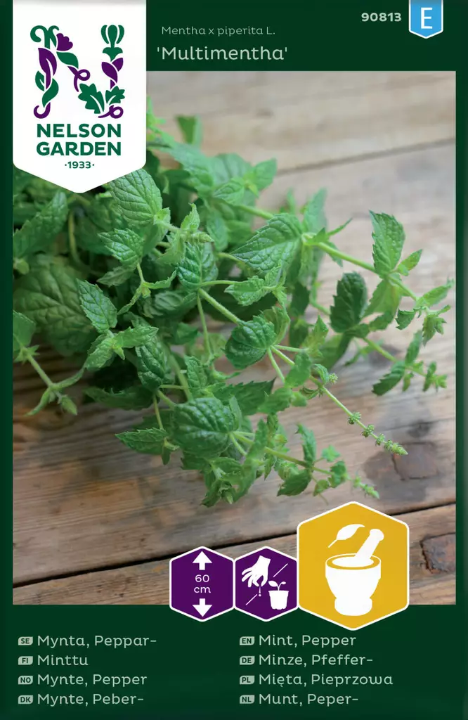 MINTTU MULTIMENTA - Muut yrttien siemenet - 7312600908130 - 1