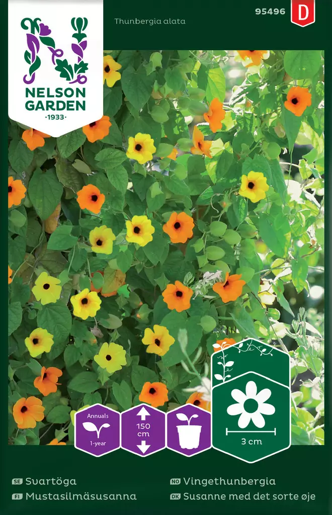 MUSTASILMÄSUSANNA, SEOS - Muut kesäkukkien siemenet - 7312600954960 - 2