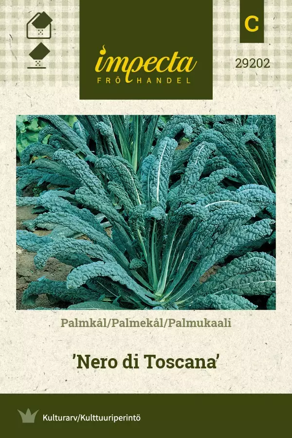 PALMUKAALI NERO DI TOSCANA - Kaalin siemenet - 7332756292020 - 1