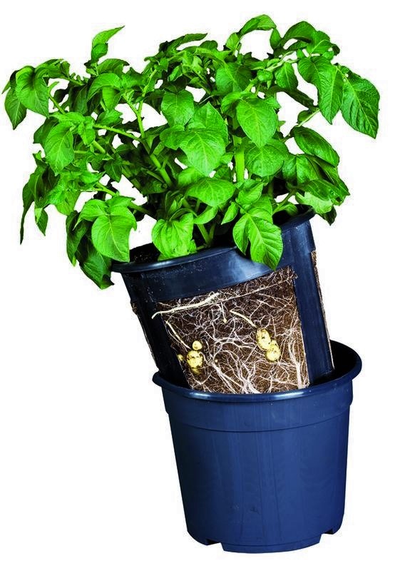 PotatoPot PERUNANVILJELYRUUKKU - Muoviruukut - 5700002064400 - 1