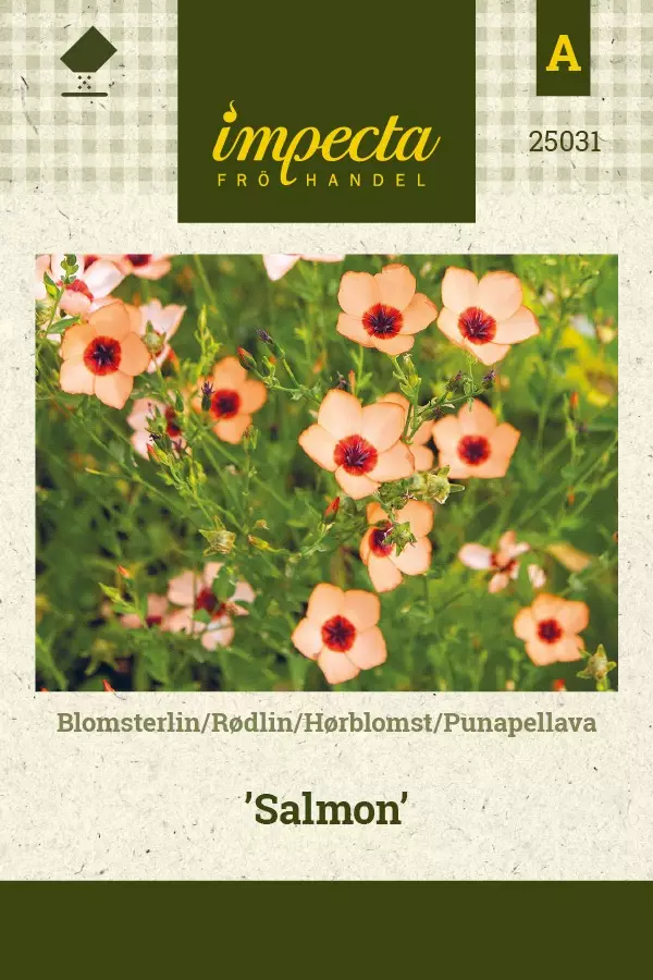 PUNAPELLAVA SALMON - Muut kesäkukkien siemenet - 7332756250310 - 1