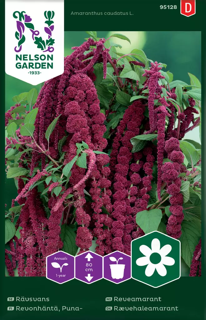 PUNAREVONHÄNTÄ - Muut kesäkukkien siemenet - 7312600951280 - 2