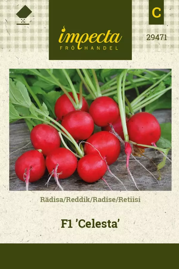 RETIISI CELESTA - Muut vihannesten siemenet - 7332756294710 - 1