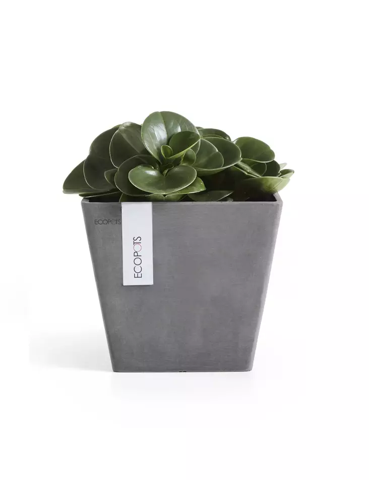 ROTTERDAM RUUKKU HARMAA 20 CM - Muoviruukut - 5411942740520 - 1