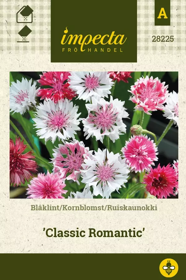 RUISKAUNOKKI CLASSIC ROMANTIC - Muut kesäkukkien siemenet - 7332756282250 - 1