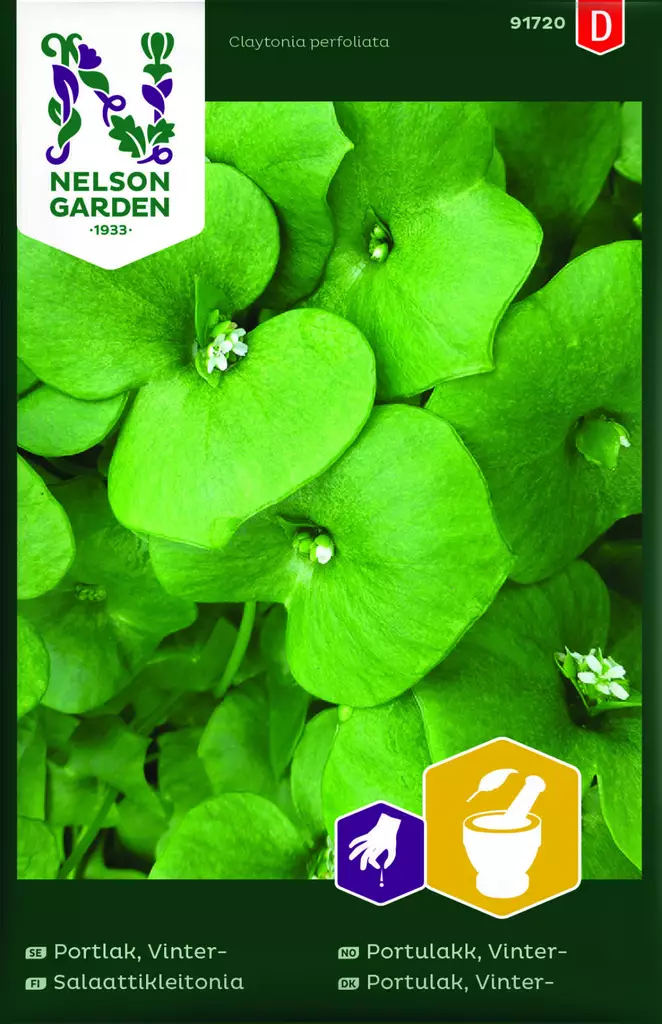 SALAATTIKLEITONIA - Muut vihannesten siemenet - 7312600917200 - 1