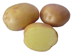 SIEMENPERUNA JUSSI 1 KG - Siemenperunat - 6417486003960 - 1