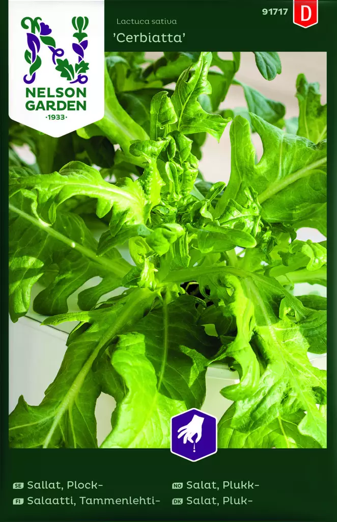 TAMMENLEHTISALAATTI CERBIATTA - Salaatin siemenet - 7312600917170 - 1