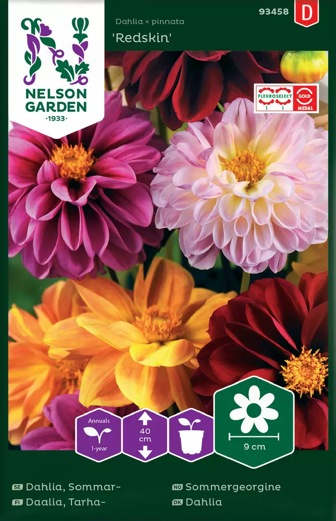 TARHADAALIA REDSKIN, SEOS - Muut kesäkukkien siemenet - 7312600934580 - 2