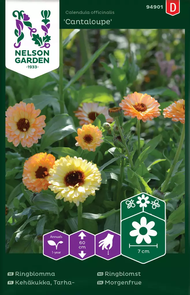 TARHAKEHÄKUKKA CANTALOUPE - Kehäkukan siemenet - 7312600949010 - 2